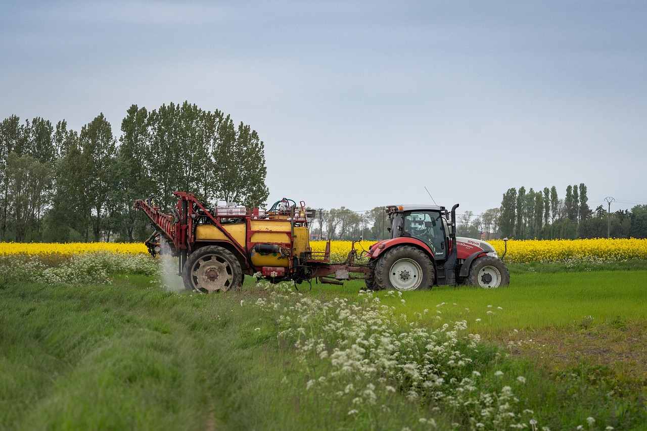 Herbicydy na rzepak ozimy – dobór substancji i terminu do chwastów na polu